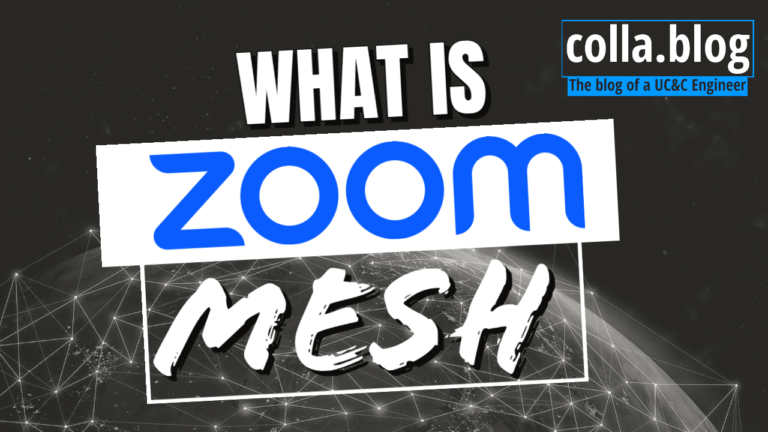 Read more about the article What is Zoom Mesh?